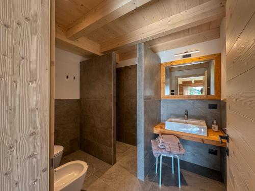 a bathroom with a sink and a toilet at Affittacamere Famiglia Ceschini in Tesero