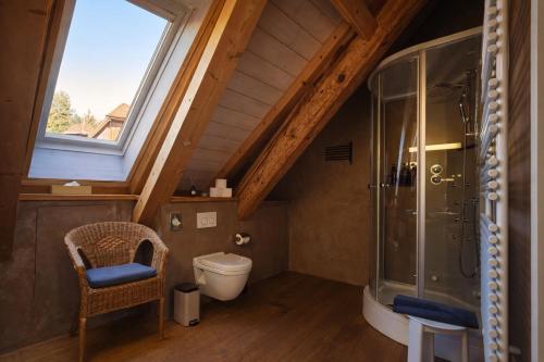 a bathroom with a shower and a toilet and a window at Niesen Loft in Spiez