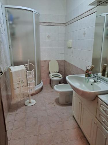 a bathroom with a toilet and a sink and a shower at Dimora dei nonni in Poggioferro