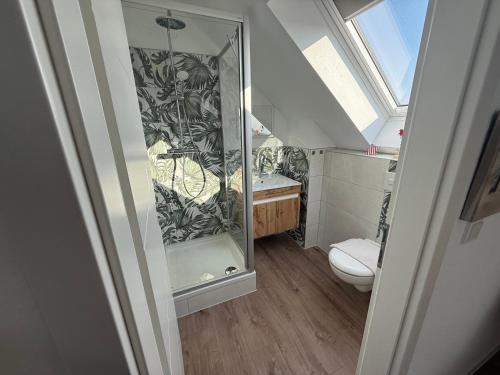 a bathroom with a shower with a toilet and a sink at Spreewälder Ferienpension in Lübben