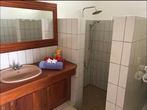 a bathroom with a sink and a shower with a mirror at Mirimiri guest house in Tahu-Naoe