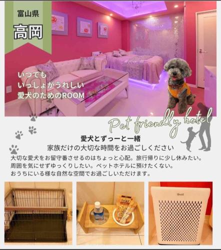 a collage of pictures of a bedroom with a dog in a room at NUDA Toyama in Takaoka