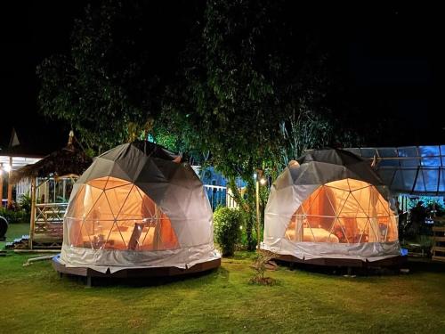 two tents sitting in the grass at night at Lion Cafe Resort in Ban Huai Sieo