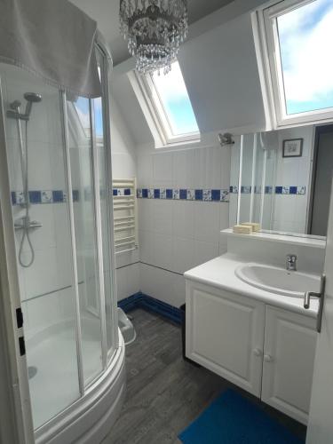 a bathroom with a shower and a sink at Cottage with Garden 5mn Beach in Cabourg