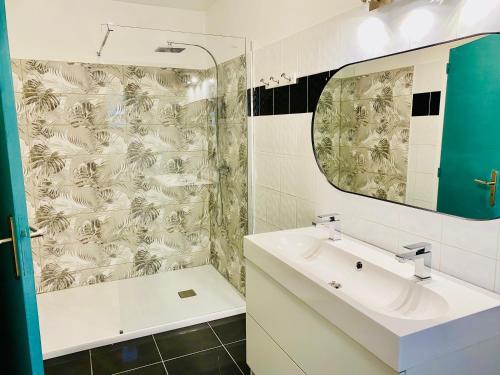 a bathroom with a sink and a mirror at Appartement cosy au cœur du vignoble - proche Épernay en Champagne in Damery