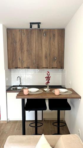 a kitchen with a table with two chairs and a sink at Studio Vila Alto in Vrbas