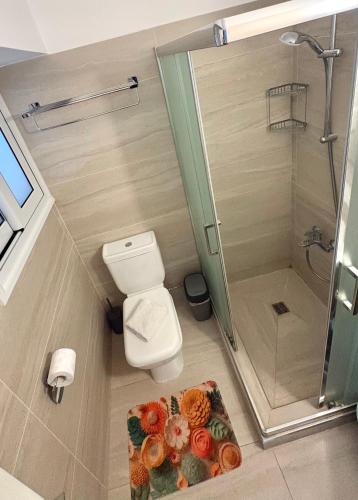 a small bathroom with a toilet and a shower at Rimini Balcony Studios - Steps from the Sea in Paphos