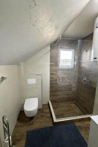 a bathroom with a toilet and a shower with a window at Vila Pavle in Užice