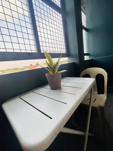 a white table with a potted plant on top of it at Dories Residences - Unit 6 in Pozorrubio