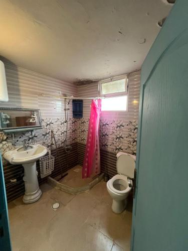 a bathroom with a sink and a toilet at The Blue House in Amman