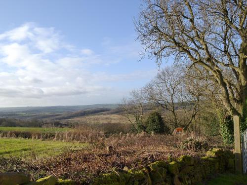 a field with a tree and a stone wall at Boundary Cottage in Unstone