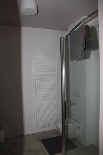 a bathroom with a toilet and a glass shower stall at B&B de Taller-Hoeve in Maasmechelen