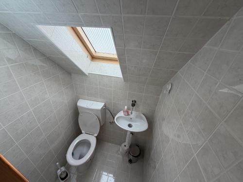 a bathroom with a toilet and a sink at Evergreen Sokolina in Rača