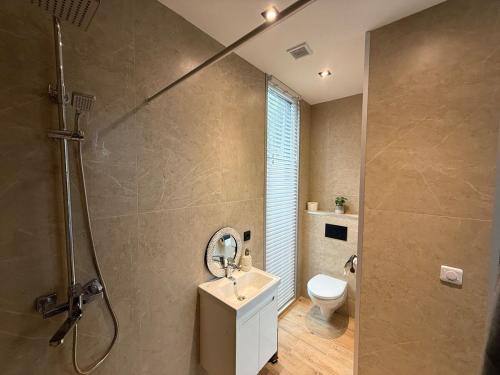 a bathroom with a shower and a sink and a toilet at Detached Hoenderloo veluwshof in Hoenderloo