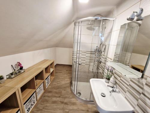 a bathroom with a shower and a sink at B&B Vila Teslova in Ljubljana