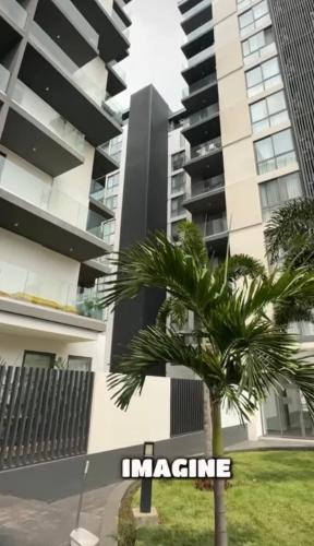 palma przed dużym budynkiem w obiekcie Lennox Apt w Akrze