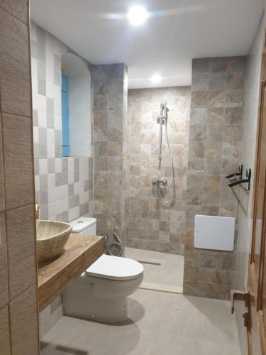 a bathroom with a toilet and a sink and a shower at Dar Zmen Toujane in Tūjān
