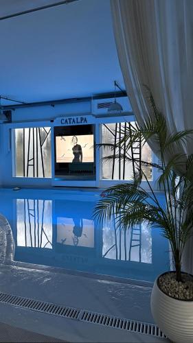 a room with a tv and a potted plant in front at Catalpa in Al Ḩārah