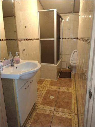 a bathroom with a sink and a toilet at Guillermo Marconi in Los Ángeles