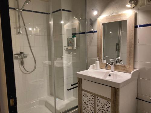 a bathroom with a shower and a sink and a shower at Gîte de l'oiseau bleu in Lautrec