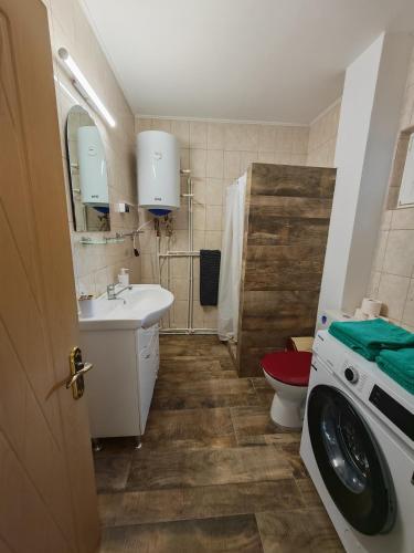 a bathroom with a sink and a washing machine at Casa Piatra Corbului in Gura Teghii