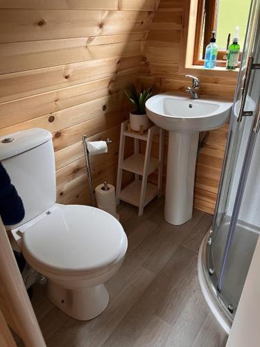 a bathroom with a toilet and a sink at Black Isle Pods & Chalet in Allangrange Station