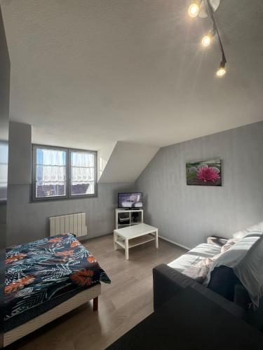 a bedroom with a bed and a tv in it at Studio confortable proche thermes in Salins-les-Bains