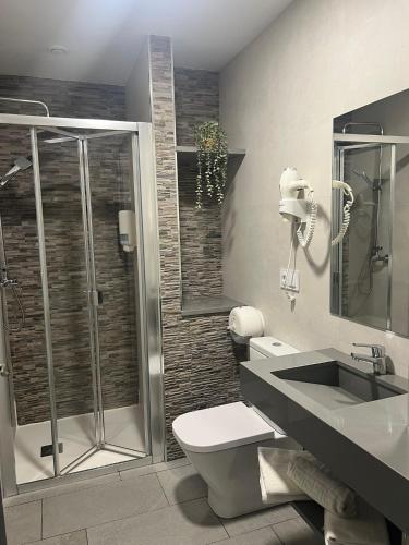a bathroom with a toilet and a sink and a shower at Pension San Anton in Melide
