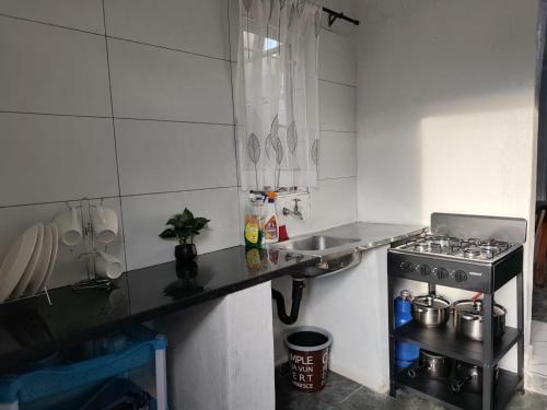 Cuina o zona de cuina de 399 Place