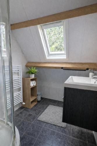 a bathroom with a sink and a window at Ballumerhoeve Fleuri lodge in Ballum