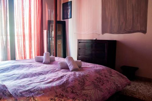Quiet apartment, on the first floor