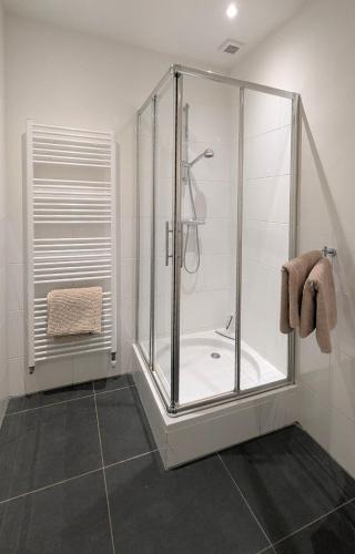 a shower with a glass door in a bathroom at Ballumerhoeve Petit lodge in Ballum