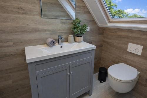 a bathroom with a sink and a toilet and a window at Ballumerhoeve t Pandje in Ballum
