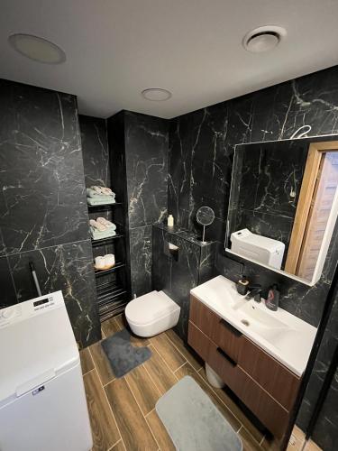 a bathroom with a toilet and a sink and a mirror at Modern apartment with Private parking - 10 min to airport, 15 min Center in Vilnius