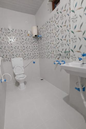 a bathroom with a toilet and a sink at Lakshmi Divya Guest house in Pedda Ahobilam