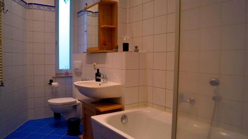 a bathroom with a sink and a toilet and a shower at Ferienwohnung Hanna in Bitterfeld
