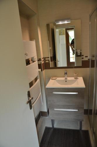 a bathroom with a sink and a mirror at Villa Les Myrtilles in Thonon-les-Bains