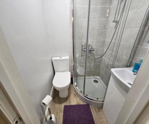a bathroom with a shower and a toilet and a sink at Lovely studio flat in Reading