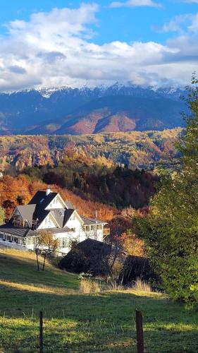 a house in a field with mountains in the background at Carpathia Magic -adults only in Peştera