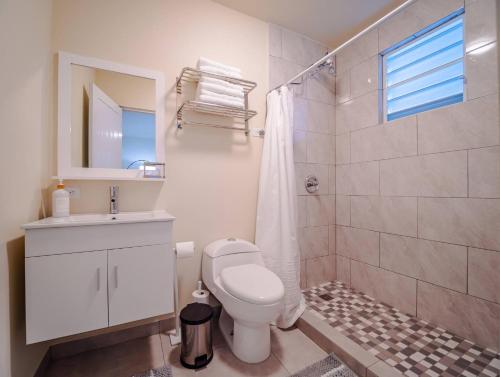 a white bathroom with a toilet and a shower at El Apartamento Nuestro in Isabela