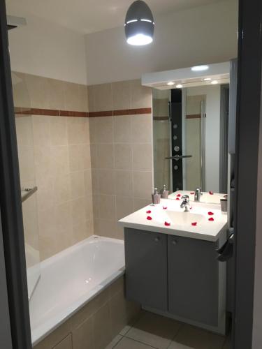 Appart&Spa photo 29