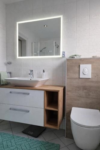 a bathroom with a sink and a toilet and a mirror at Waldpanorama Schildberg in Lügde