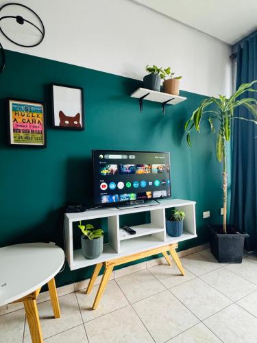 a living room with a tv on a green wall at Altos de Barrio Sur in San Miguel de Tucumán