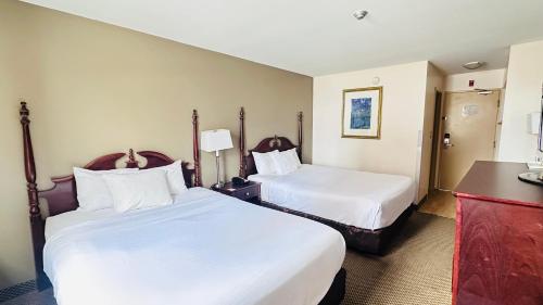 a hotel room with two beds with white sheets at Econo Lodge City Centre in Kingston