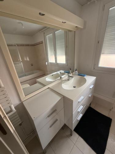 a bathroom with a sink and a large mirror at Maison 4 à 8 personnes in Faches-Thumesnil