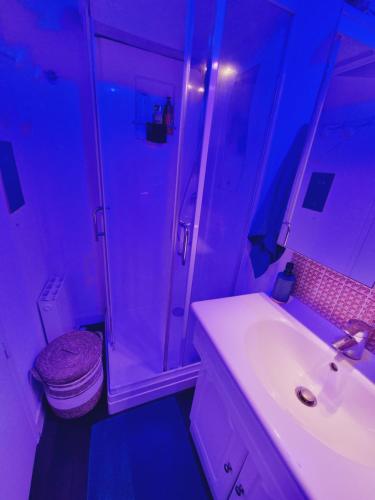 a bathroom with a sink and a shower and a toilet at Studio côté Canal Hossegor in Hossegor
