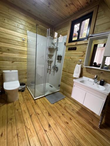 a bathroom with a shower and a toilet and a sink at Alpina Village, Jacuzzi Climatizado, Montaña, Fogata, Jarabacoa in Jarabacoa