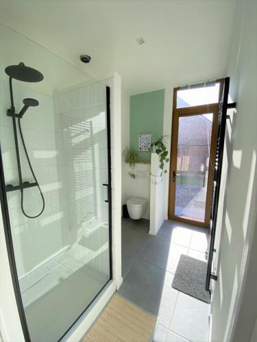 a bathroom with a walk in shower and a toilet at The Bee Garden - Cosy Cabin in Lede