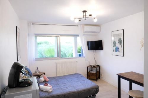 Cannes Cosy l Studio Climatisé l Plages l Gare