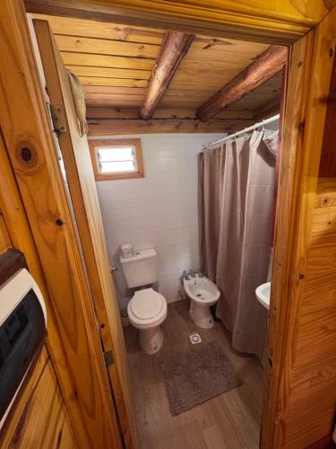 a small bathroom with a toilet and a sink at Cabaña El Guayabo in Villa Urquiza